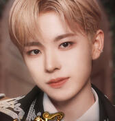 Yushi Yushi
